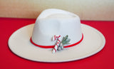 Christmas Hat